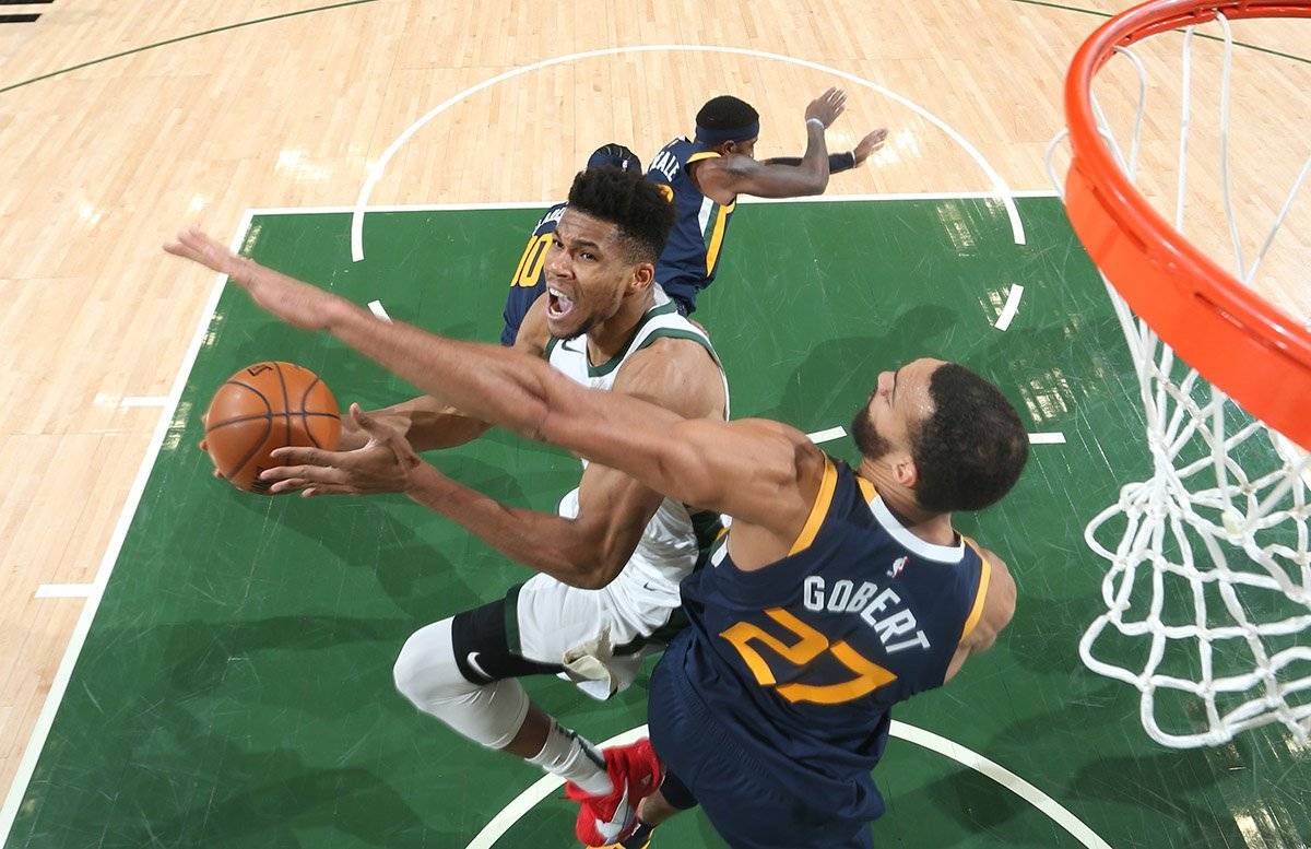 专家预测赔率变化胜率超六成，结果成焦点