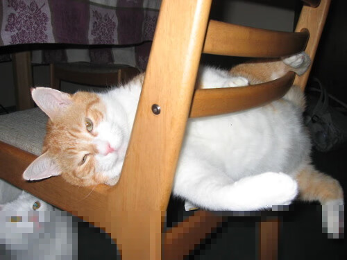 双重变奏，骑士以节奏牢笼钳制尼克斯，贝恩末节接管书写关键先生宣言