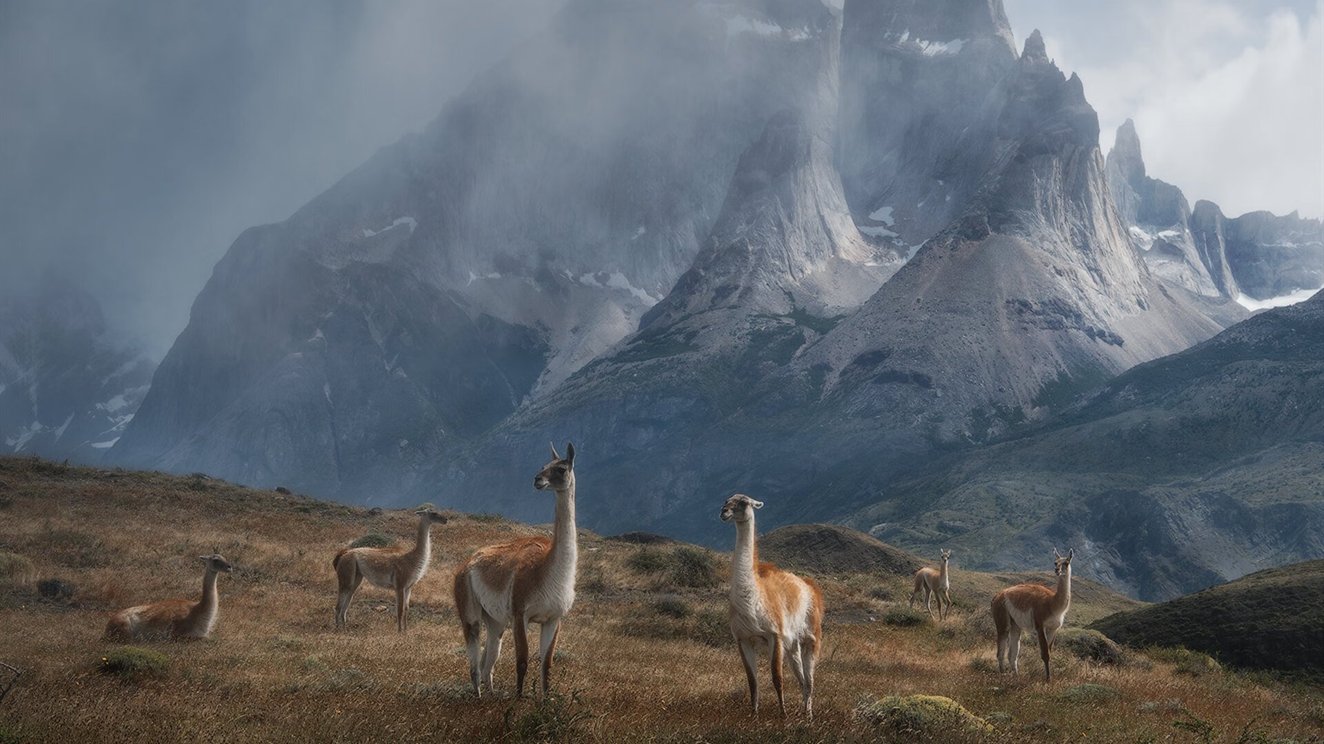 沉沦与救赎，被质疑声淬炼出来的莱奥，在曼城之夜里完成爆发