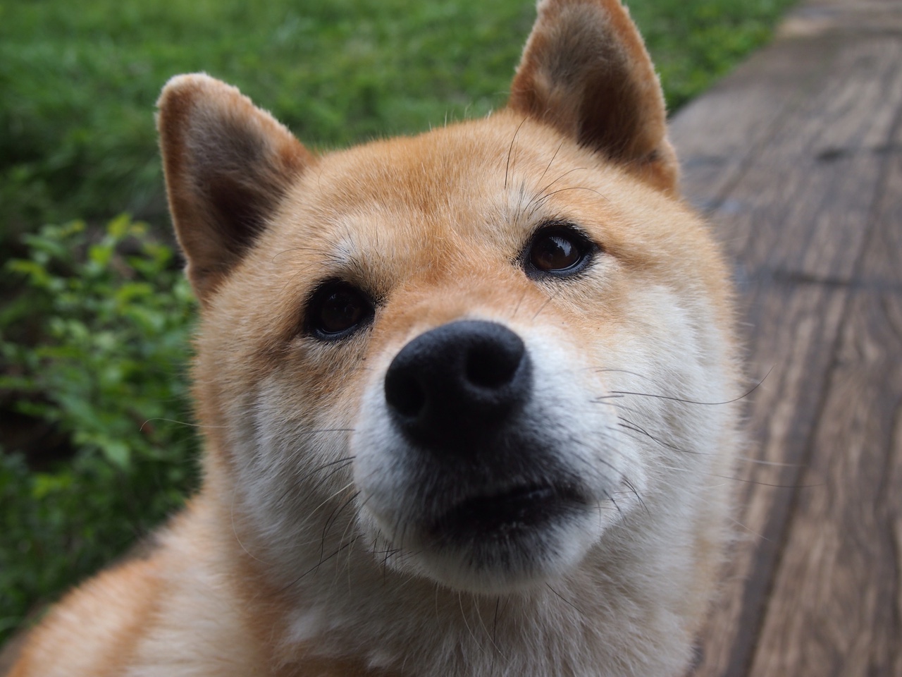 跨界聚焦，欧冠半决赛之夜，勒布朗·詹姆斯如何成为另类全场焦点