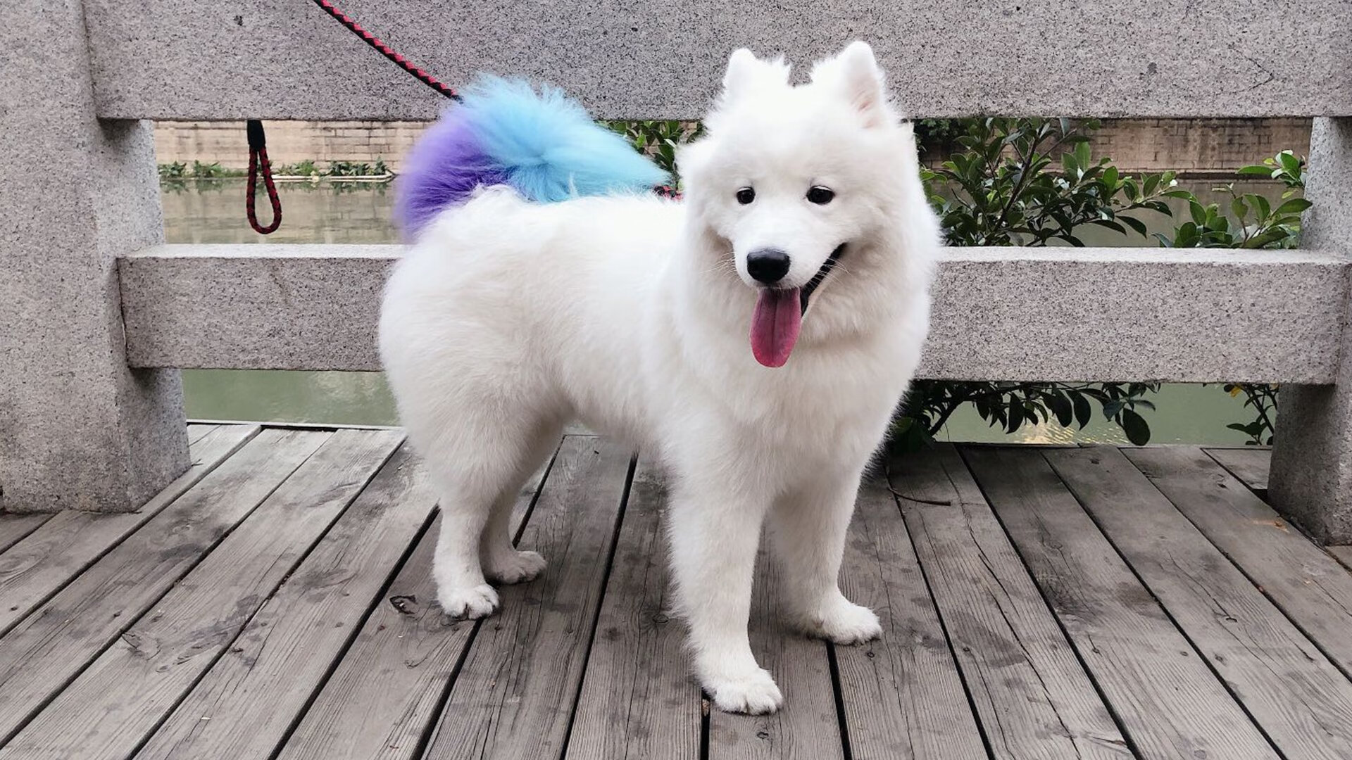 双线冲击波,在平行的竞技场点燃命运的火种