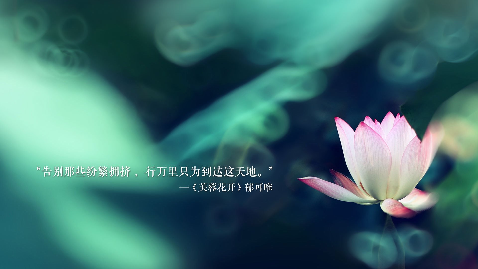 山西队破壁之战，西亚卡姆炽热手感击穿雷霆防线
