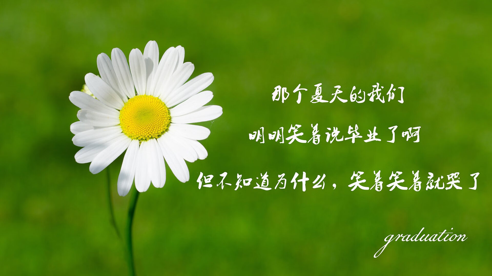 铁幕与孤勇，2026世界杯G组焦点战，托纳利与门将共筑唯一不可复制的日耳曼碾压