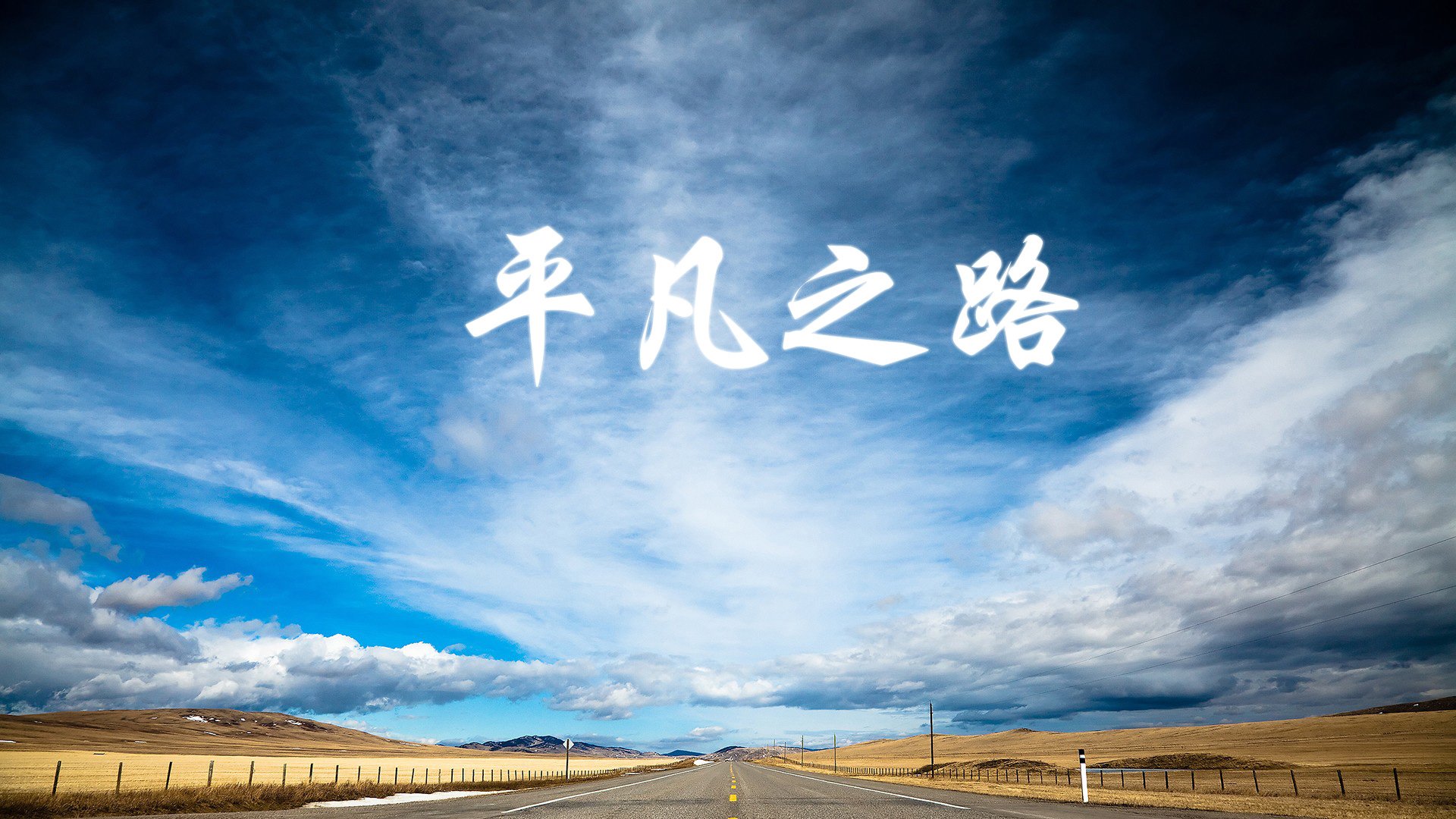 橙色郁金香的凋零之夜，范戴克悲壮闪耀，泰国铁血缔造世界杯史上最魔幻的冷门