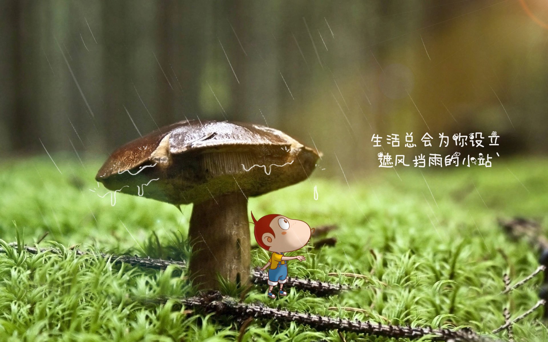 控球的幽灵，2026世界杯H组，德国如何用压制性控球为维尼修斯的致命一击铺路